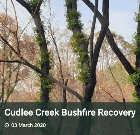 Adelaide Hills Bushfire Recovery Project tile